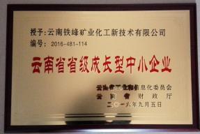 云南省省級成長型中小企業
